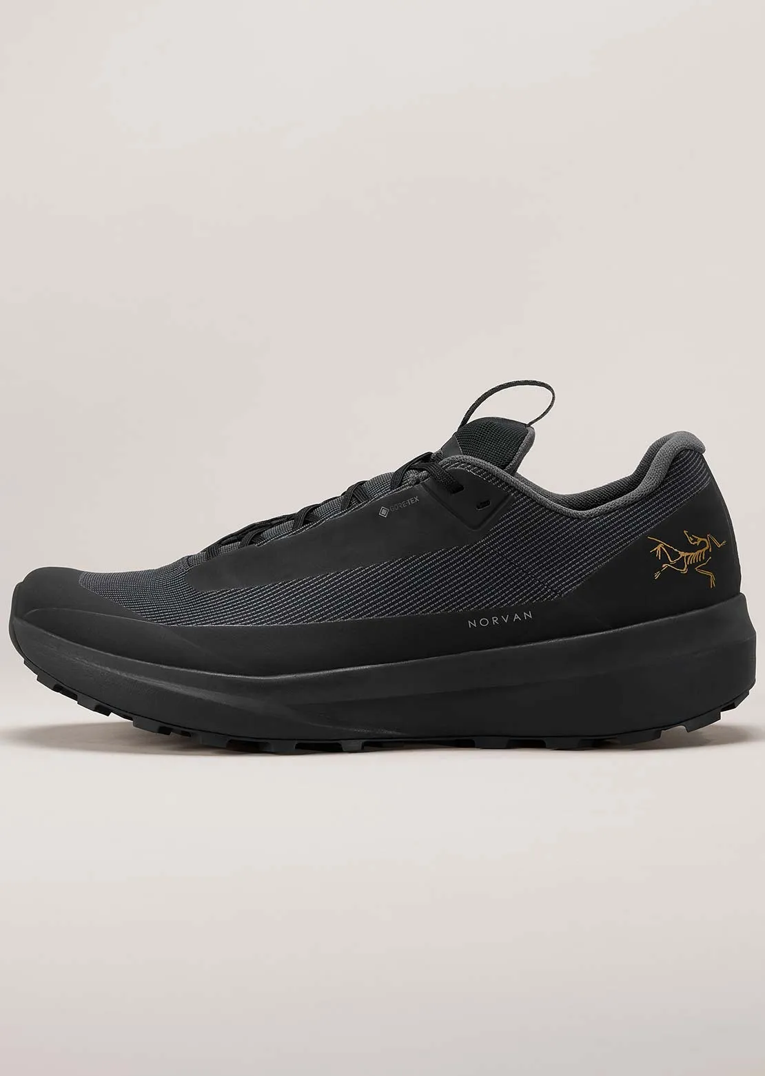 Arc'teryx Men's Norvan LD 4 GTX Shoes