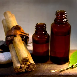 Essential Oil - Cinnamon Leaf