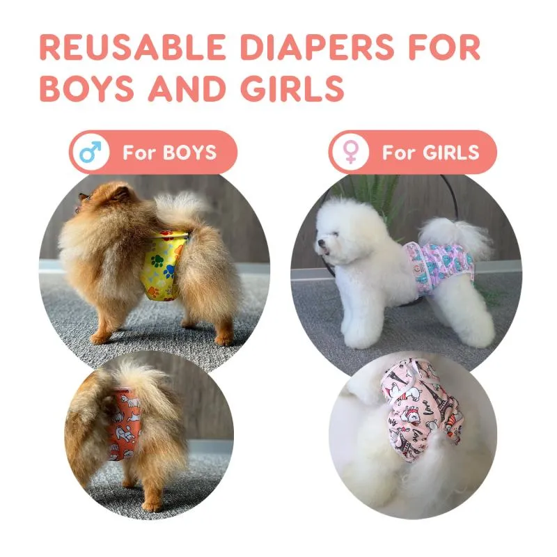 Misoko reusable diapers for male dogs, France