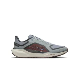 Nike | Men's Pegasus 41 GORE-TEX Waterproof Road Running Shoes