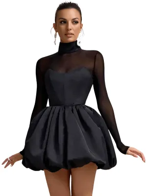 Women's Turtleneck Sexy Sheer Long Sleeve Black Mini Dress See Through High Waist A-line Club Party Dress Elegant